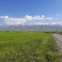 زمین دیم کشاورزی|فروش دفتر صنعتی، کشاورزی، تجاری|نهاوند, |دیوار