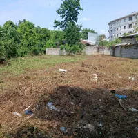 علف زنی با دستگاه چمن زن|خدمات باغبانی و درختکاری|رشت, توشیبا|دیوار