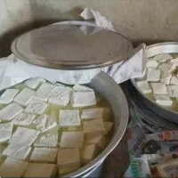 پنیر گوسفندی درجه یک ارگانیک|عمدهفروشی|بناب, |دیوار