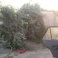 خانه اجاره ای ویلایی|اجارهٔ خانه و ویلا|زابل, |دیوار