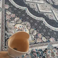 پا مصنوعی|آرایشی، بهداشتی، درمانی|آزادشهر, |دیوار