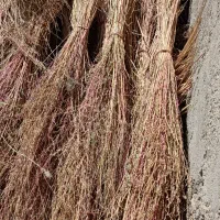 جارو محلی|لوازم نظافت|نورآباد, |دیوار