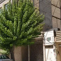 ویلایی-130-متر-30-متر-تجاری-عامل-15