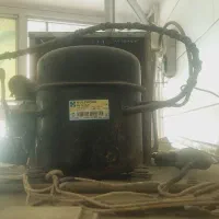 یخچال ویترینی ۴ درب|یخچال و فریزر|ابریشم, |دیوار