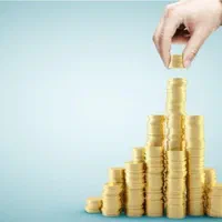 سرمایه گذاری در واحد تولیدی و صادراتی