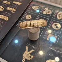 تک پوش بدون اجرت