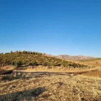 فروش|فروش خانه و ویلا|بانه, |دیوار