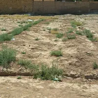 زمین