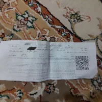 بلیط قطار دورود به اهواز