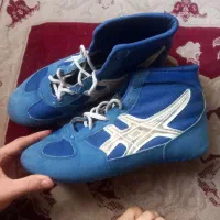 کفش کشتی|تجهیزات ورزشی|پاکدشت, حصار امیر|دیوار