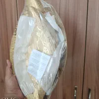 ست پذیرایی ۲پارچه طلایی لورنزا|ظروف سرو و پذیرایی|تهران, صفا|دیوار