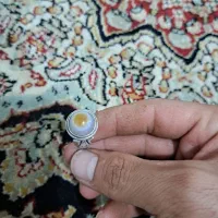 انگشتر بابا قوری کتابی