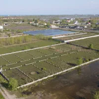 ۱۶۰ الی ۳۲۰ متر زمین سرمایه گزاری|فروش زمین و ملک کلنگی|چاف و چمخاله, |دیوار