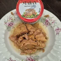 تن ماهی استاران عمده