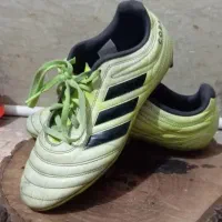 کفش ارجینال