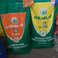 بذر آفتابگردان s300و s400