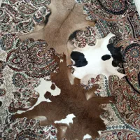 پوست بره و بزغاله