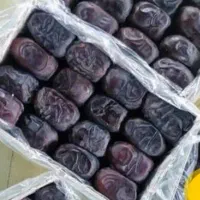 بسته بندی خرما