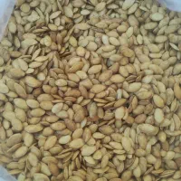 تخمه کدو و آفتابگردان|خوردنی و آشامیدنی|تهران, جوادیه تهرانپارس|دیوار