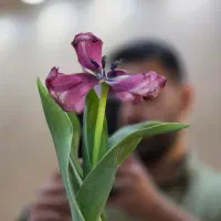 آموزش و حل سوالات ریاضی و فیزیک دبیرستان و دانشگاه