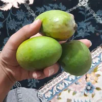 انبه