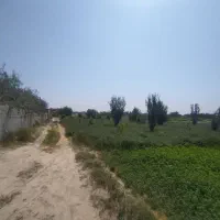 باغ