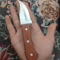 چاقو شکاری|کوهنوردی و کمپینگ|اهواز, شهدای انتظامی|دیوار