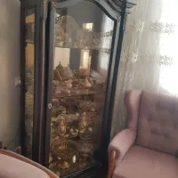 ویترین در حد نو