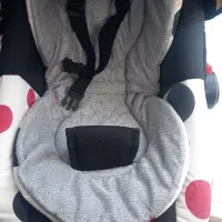 سرویس کالسکه|کالسکه و لوازم جانبی|شیروان (خراسان), |دیوار