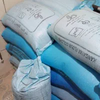 بذر گندم خارجی|گل و گیاه طبیعی|اسدآباد, |دیوار