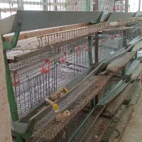 قفس بلدرچین  گالوانیزه تمیز