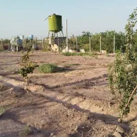 زمین سندتک برگ روبروی شهرک خانه|فروش زمین و ملک کلنگی|رباطکریم, الارد|دیوار