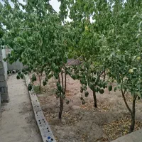 فروش زمین به متراژ۱۱۲متر