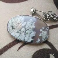 گردنی  شجر بهاری شکوفه داار معاوضه با گوشی هواوی