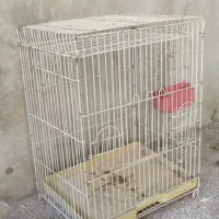 قفس سفید مخصوص عروس هلندی طوطی مرغ عشق سالم