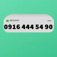 0916 رند و خاص مناسب کسب و کار