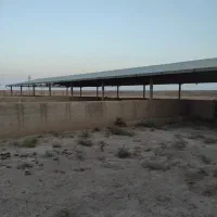 اجاره مزرعه «شتر مرغ ۷۰۰۰»|اجارهٔ دفتر صنعتی، کشاورزی، تجاری|گرمسار, |دیوار