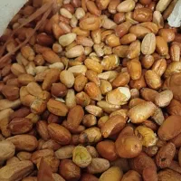 سنجد امسالی|خوردنی و آشامیدنی|مشهد, چهارچشمه|دیوار