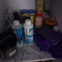 اکواریوم|ماهی|تهران, بیسیم|دیوار