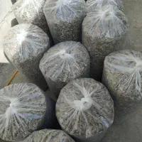 فروش تخمه|عمده‌فروشی|قروه, |دیوار