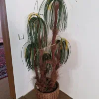 درختچه مصنوعی و ۳ عدد گلدان