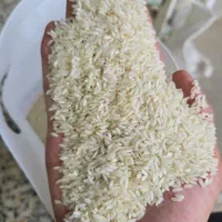 برنج عنبر درجه یک