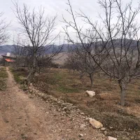 زمین کشاورزی و ویلایی در تلمادره