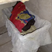 مرغ تلی|حیوانات مزرعه|اهر, |دیوار