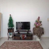 همه ی این وسایل جز تلویزیون فروش