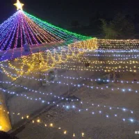 ریسه ارائی روشنک