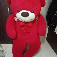 خرس ولنتاینی