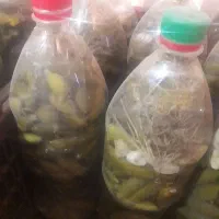 عسل ناب سراب و بره موم و خیار شور|حراج|سراب, |دیوار