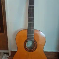 گیتار هافنر HAC-204