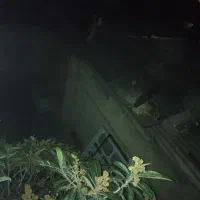 درو پنجره سنتی سالم رایگان و یک عدد درب اکاردویی